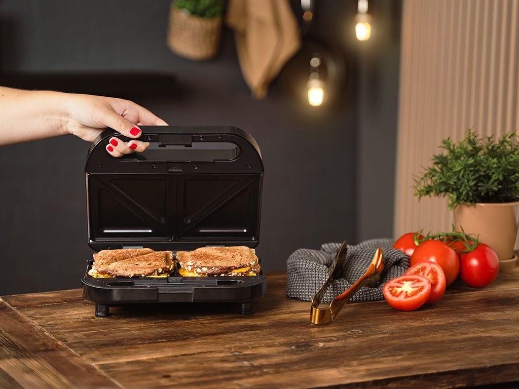 SANDWICHPLAAT - 3